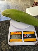 Semente milho 3066 BTMAX - Resistente Milho Verde e Silagem - 1.000 sementes